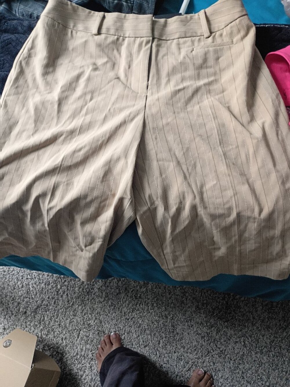 Dress pants